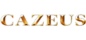 300x140 caseus logo stavnice cazeus