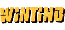 Wintino logo
